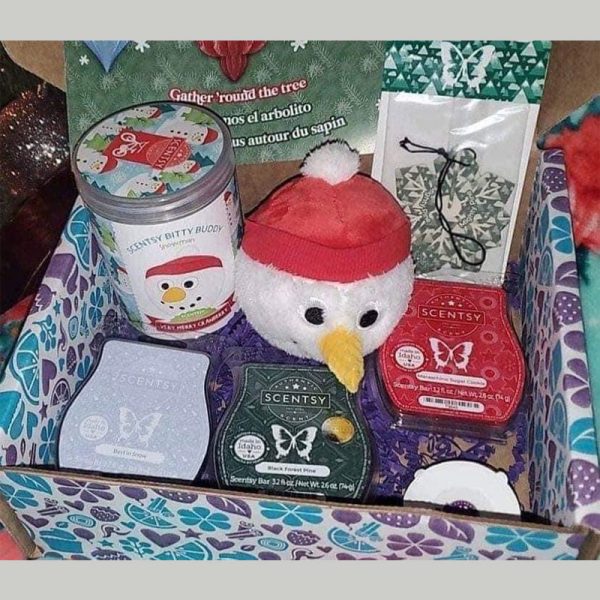 Cathy’s independent consultant Scentsy business