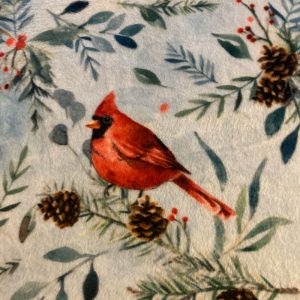 Woodland Creatures Minky blanket